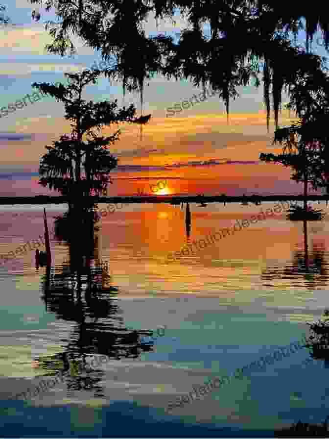 A Sunset Over A Swamp In South Louisiana 39 Things South Louisiana Folks Love: A Short Travel Guide To The True Heart Of South Louisiana