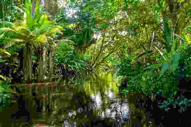 Rayford Ramble Exploring The Amazon Rainforest, Surrounded By Towering Trees And Vibrant Wildlife Travelling Opinions And Sketches In Russia And Poland: By Rayford Ramble Esq