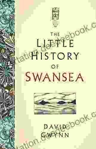 The Little History Of Swansea
