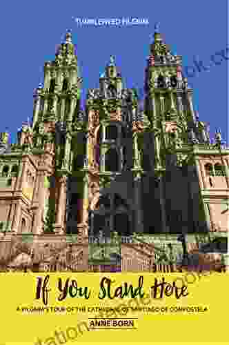 If You Stand Here: A Pilgrim S Tour Of The Cathedral Of Santiago De Compostela