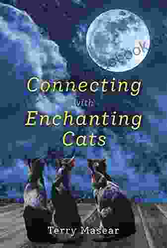 Connecting With Enchanting Cats Terry Masear