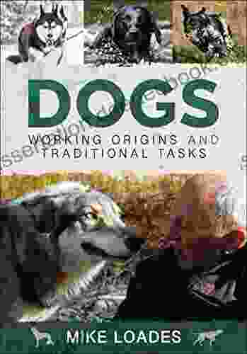 Dogs: Working Origins And Traditional Tasks