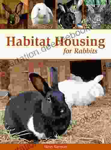 Habitat Housing For Rabbits Janet Garman