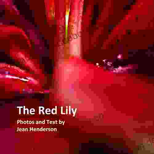 The Red Lily Jean Henderson